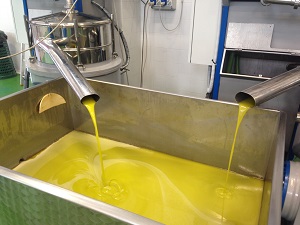 l’olio ottenuto dall’estrattore viene sottoposto ad un ulteriore passaggio in un separatore